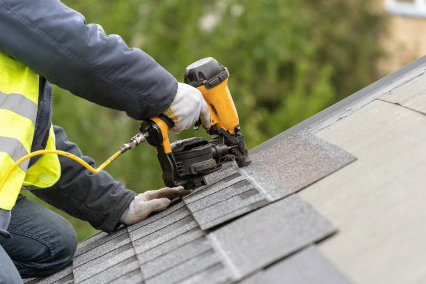 Best Roof Maintenance and Cleaning  in Martinsville, VA